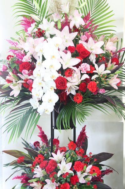 �X�^���h�ԁ@���c�J��